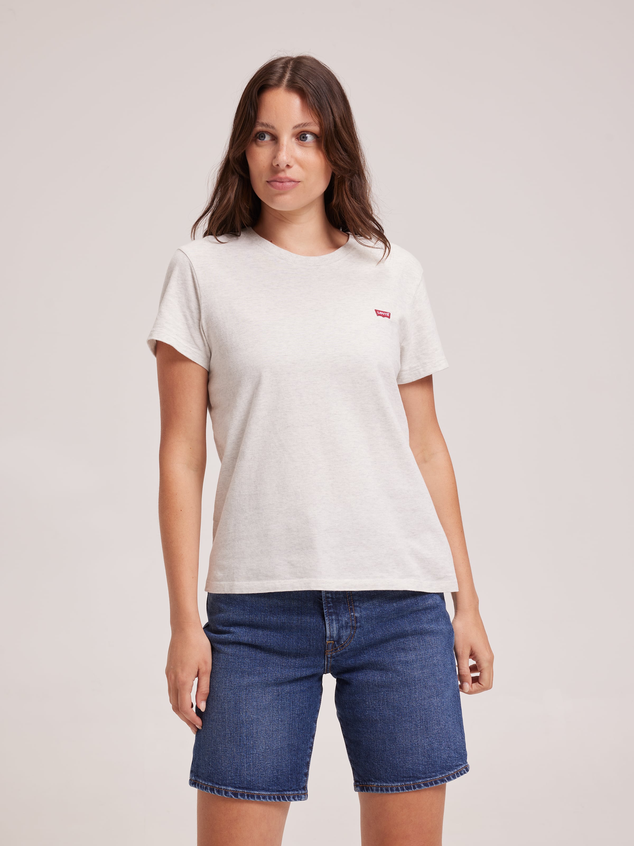 Mini Logo Tee In Grey
