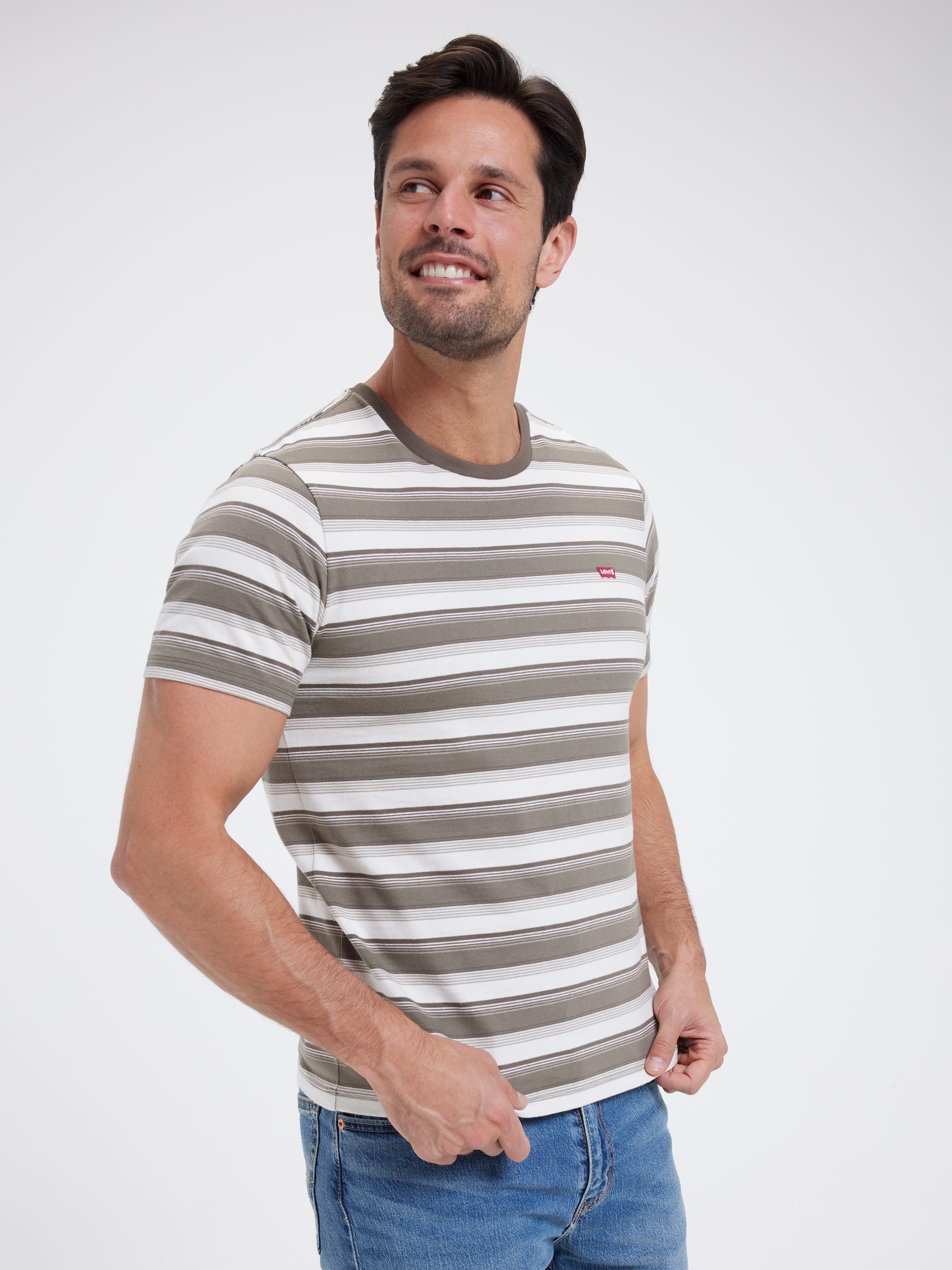 Original Housemark Tee In Jen Stripe Maitake Brown