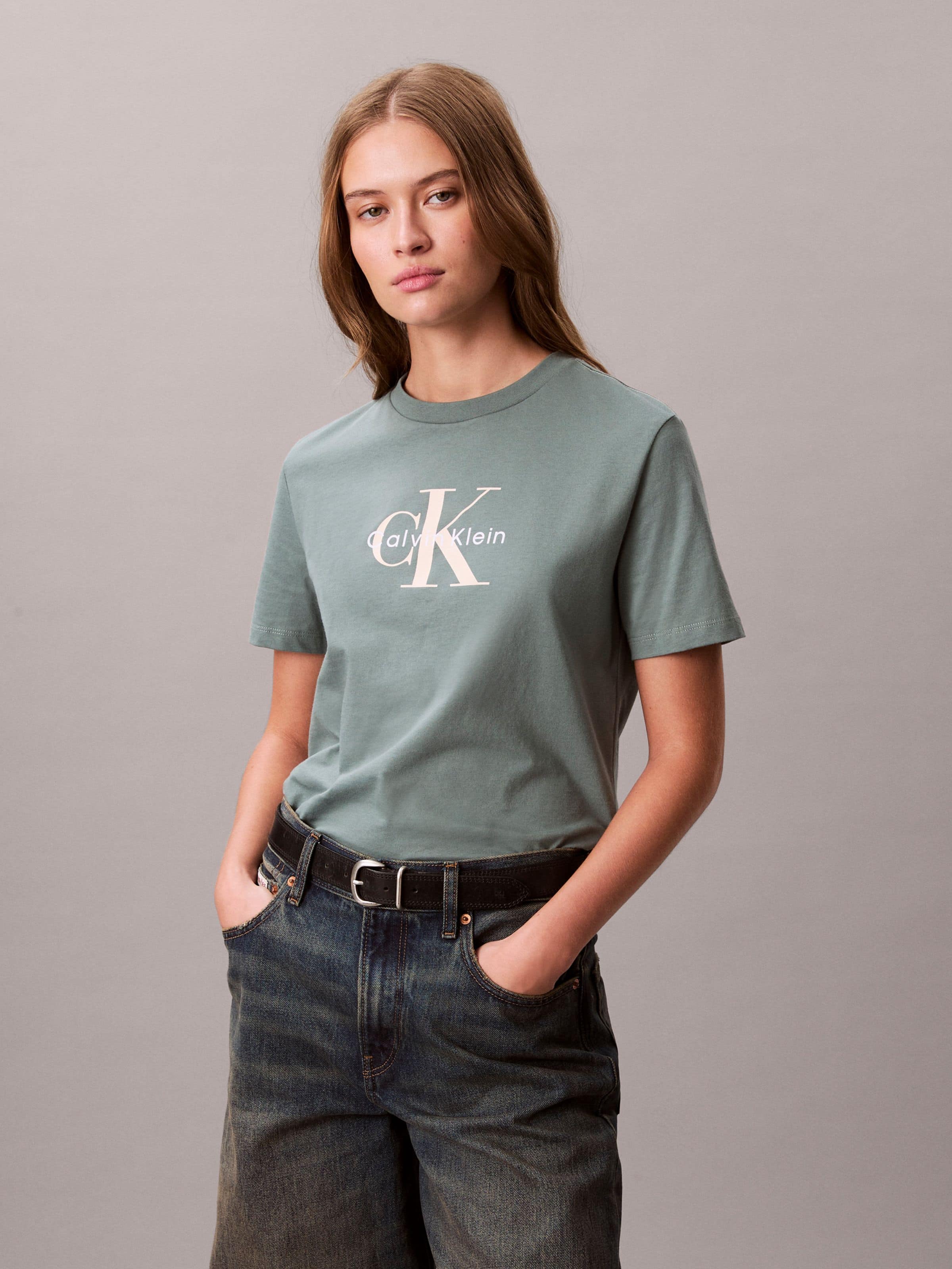 Hero Classic Mono Tee In Autumn Green