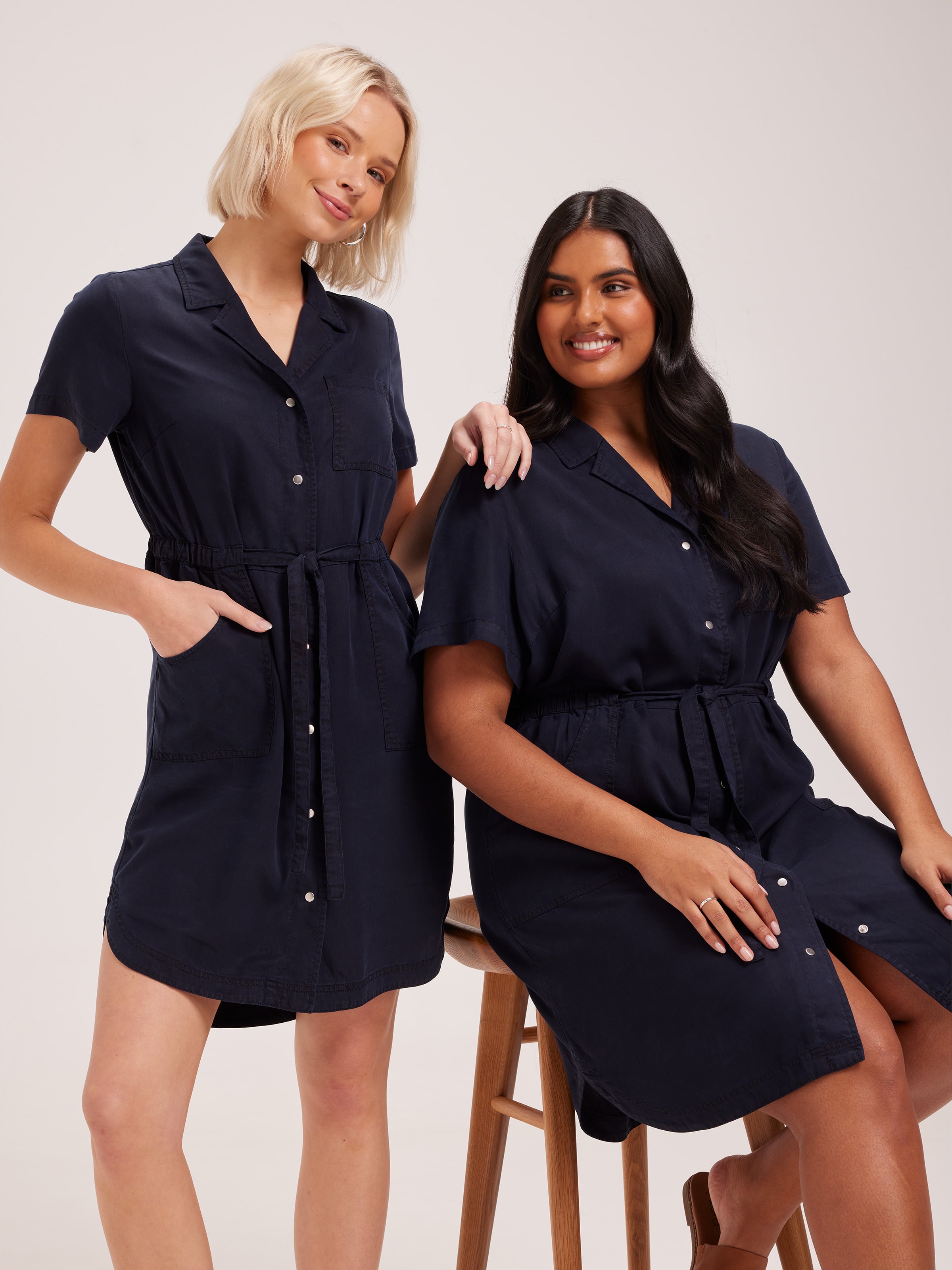 Curve Bridie Shopper Dress