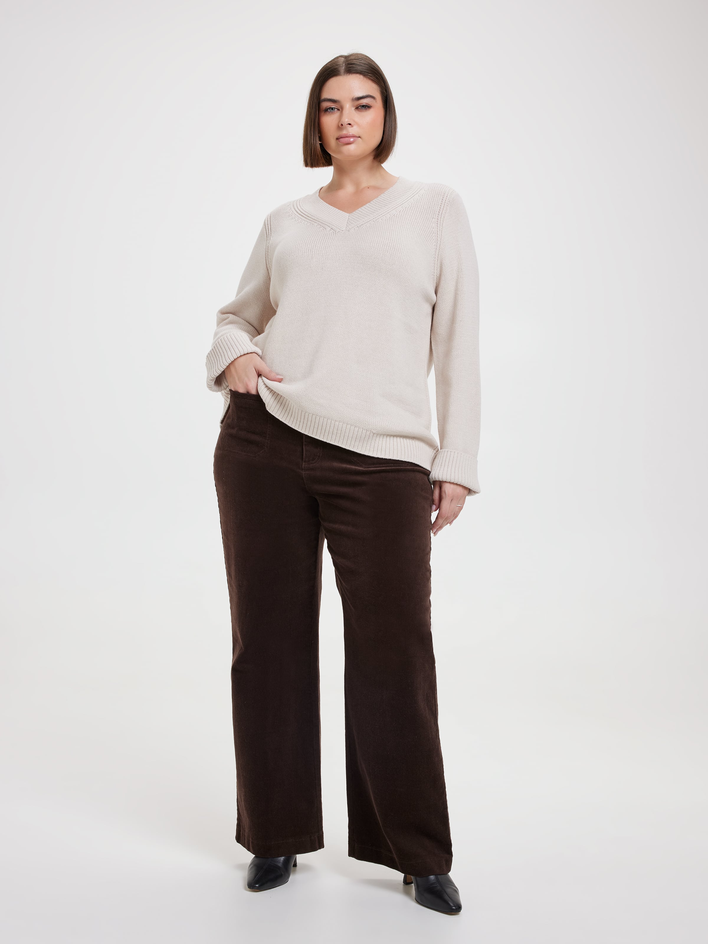 Curve Dakota V Neck Pullover