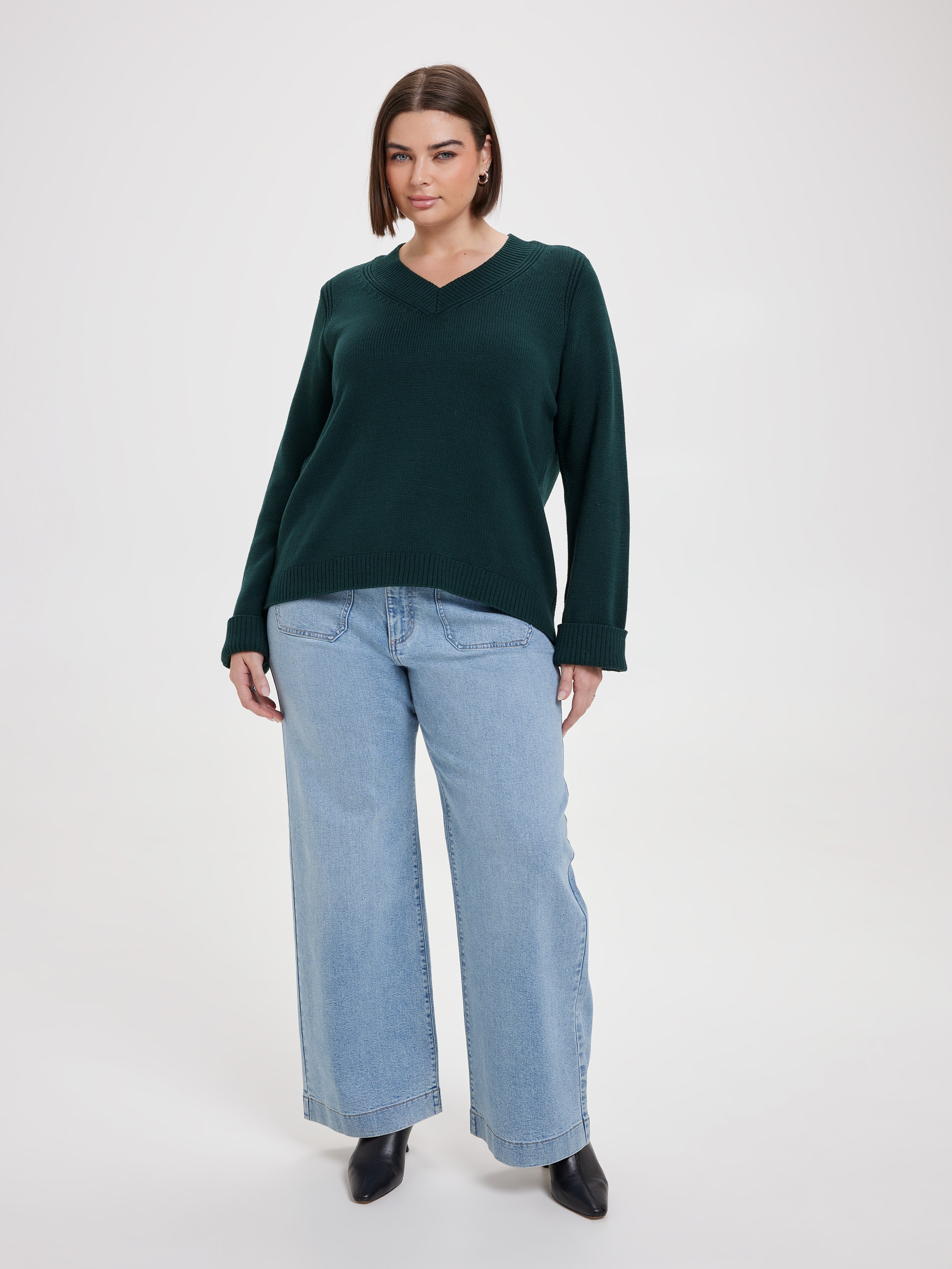 Curve Dakota V Neck Pullover