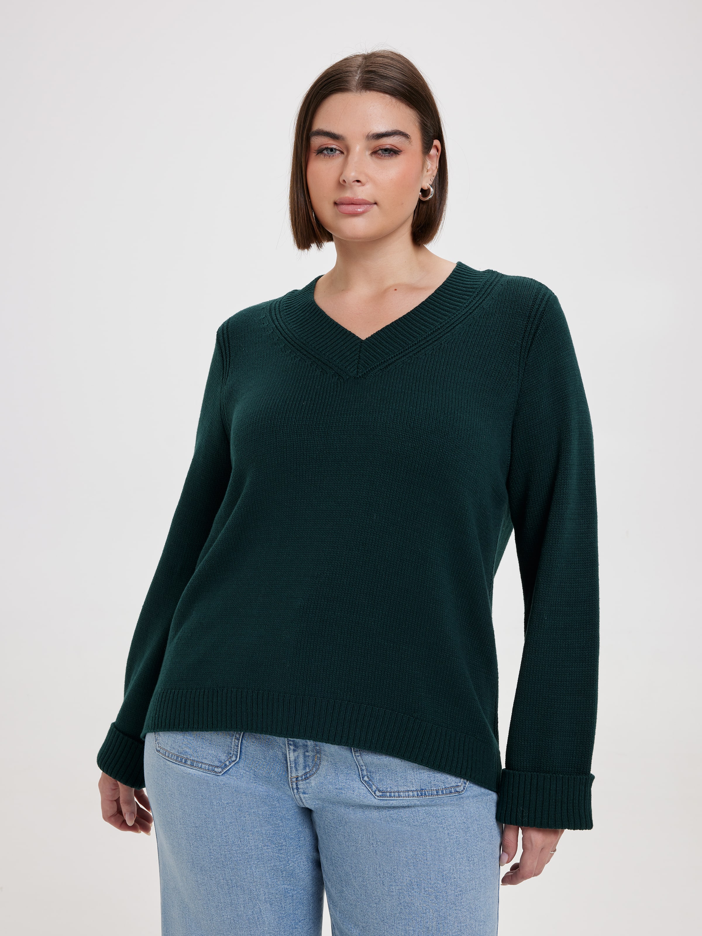 Curve Dakota V Neck Pullover