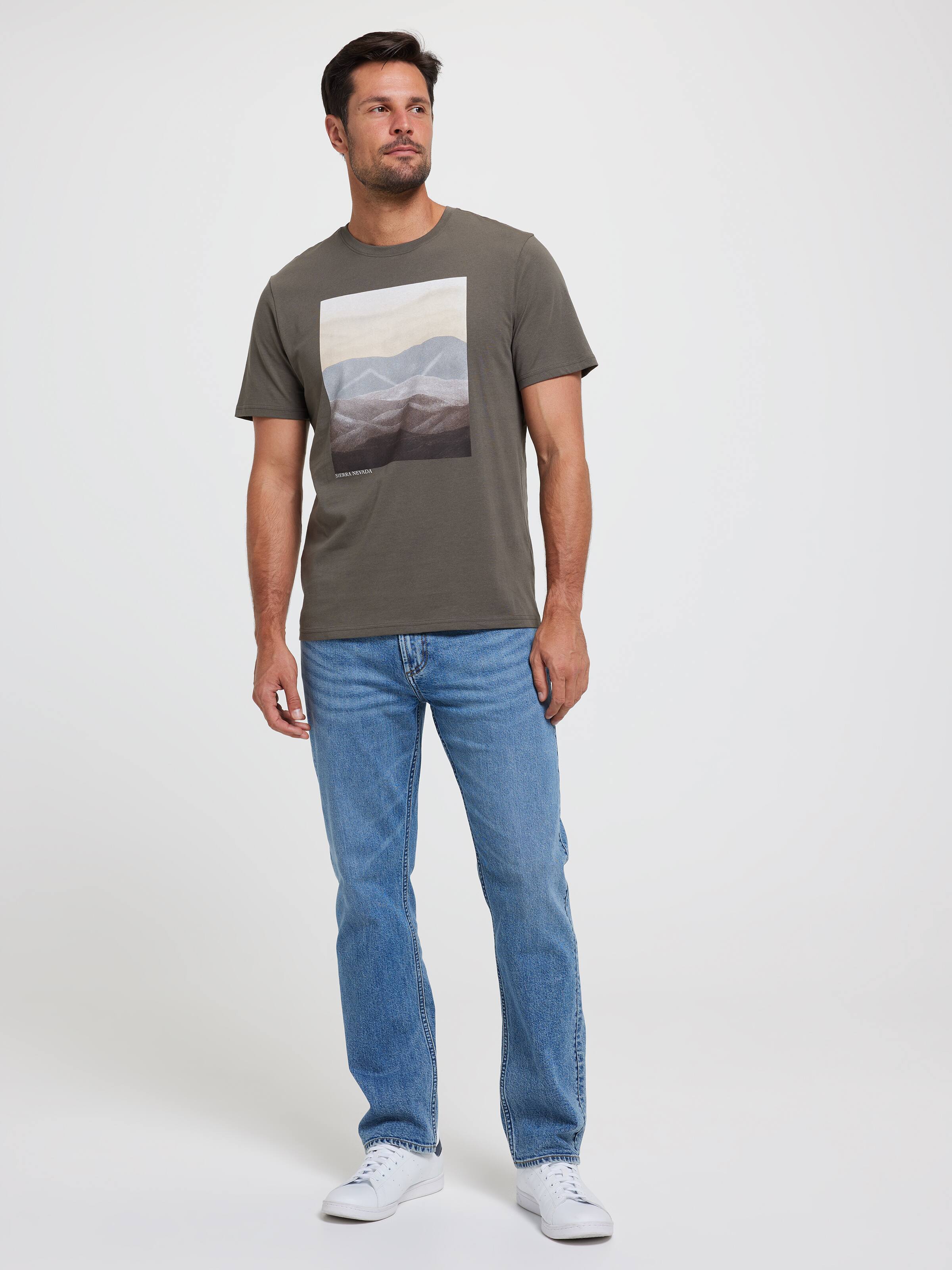 Tonal Mountain Landscape Tee