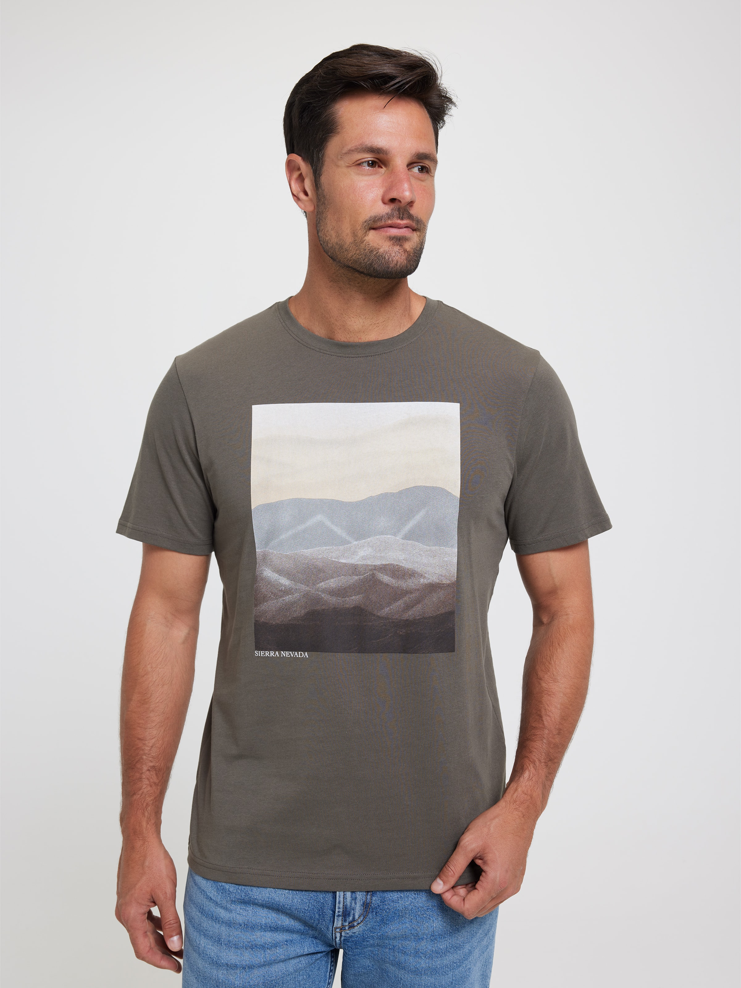 Tonal Mountain Landscape Tee