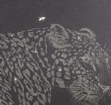 Charcoal Leopard