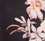 Black Floral Seashell