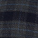 Navy Check