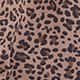 Winter Leopard